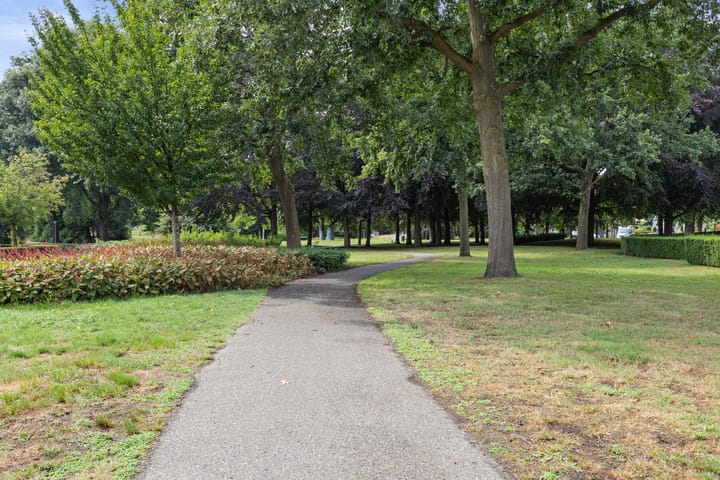 Foto 44 van Jamaïcaring 15