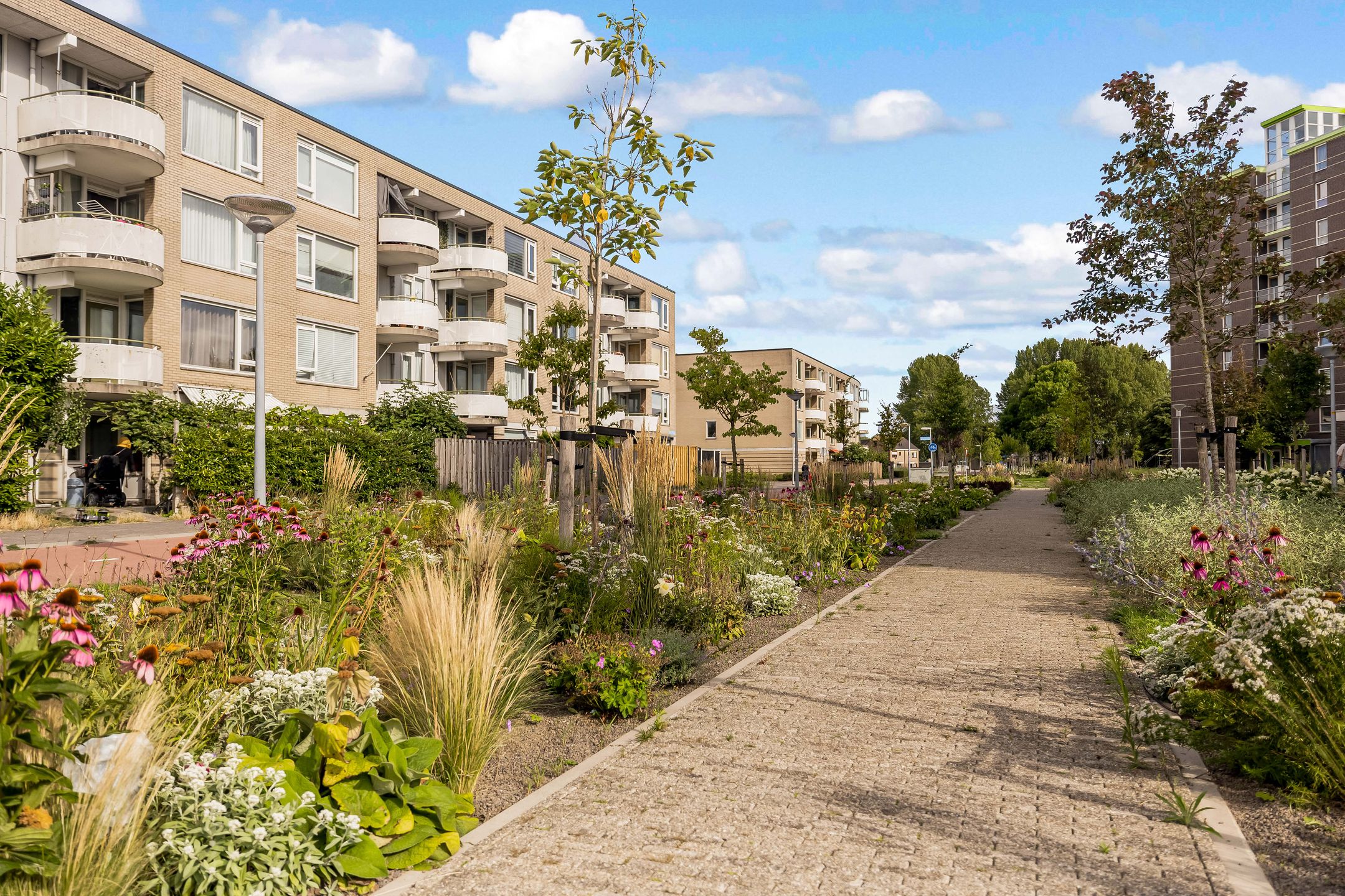 Foto 33 van Glinkastraat 235