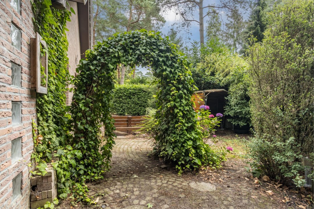 Photo 31 of Lage Bergweg 31-I15