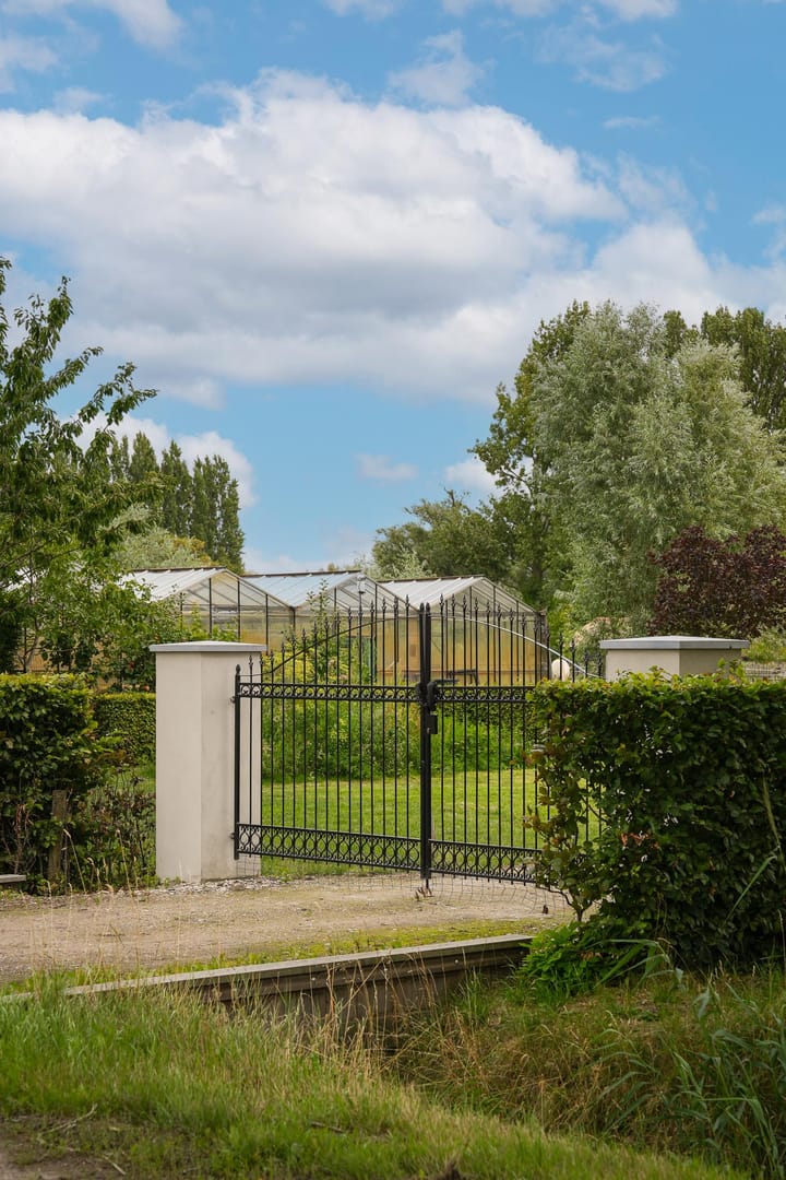 Foto 2 van Duizendmorgen