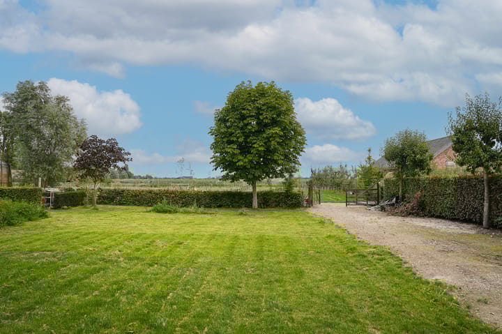 Foto 4 van Duizendmorgen