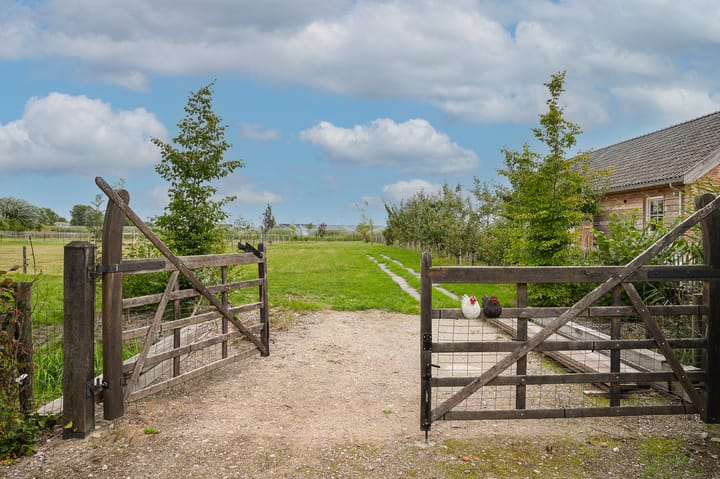 Foto 8 van Duizendmorgen