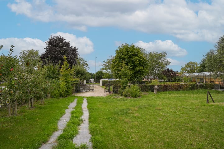 Foto 10 van Duizendmorgen