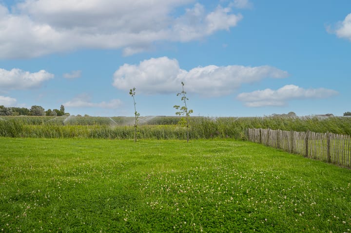 Foto 12 van Duizendmorgen