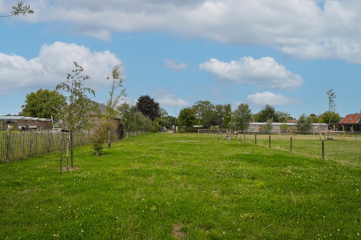 Foto 13 van Duizendmorgen