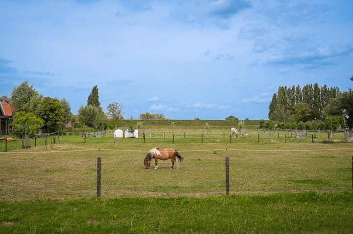 Foto 14 van Duizendmorgen