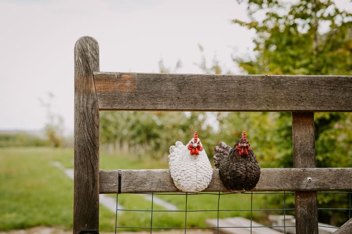 Foto 17 van Duizendmorgen