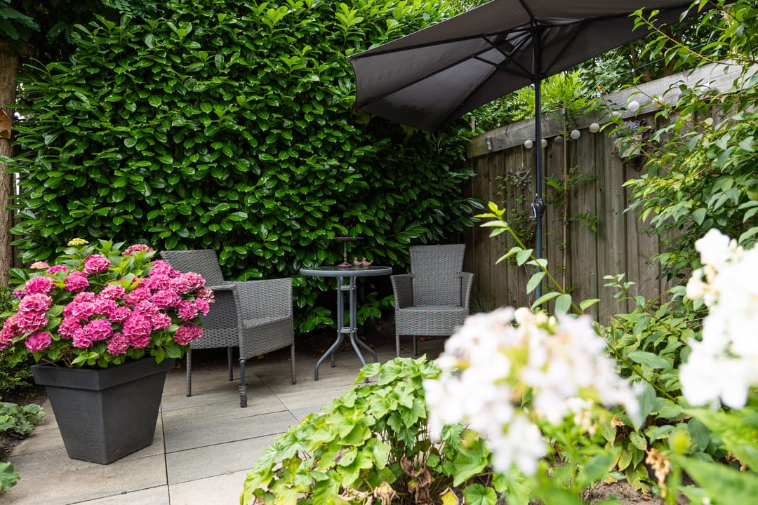 Photo 46 of Klein Brabant 15