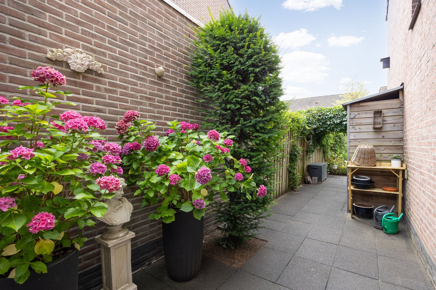 Photo 50 of Klein Brabant 15