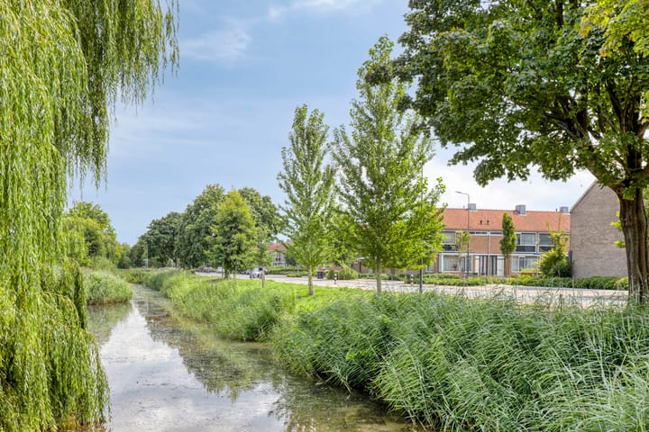 Foto 29 van Torresstraat 7