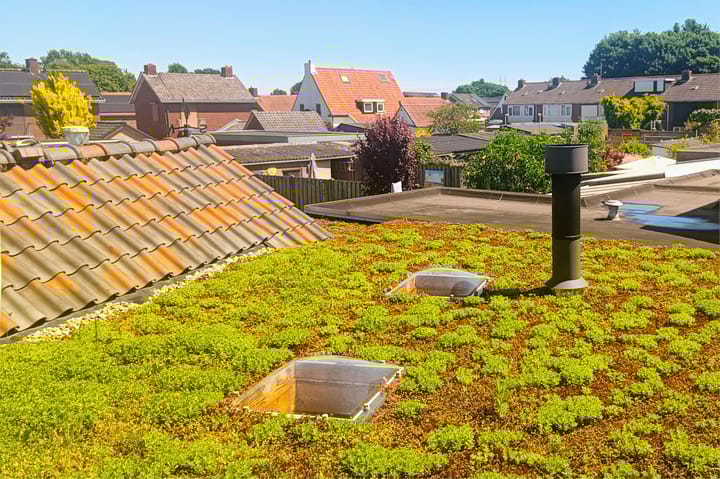 Foto 33 van Cingelwal 55