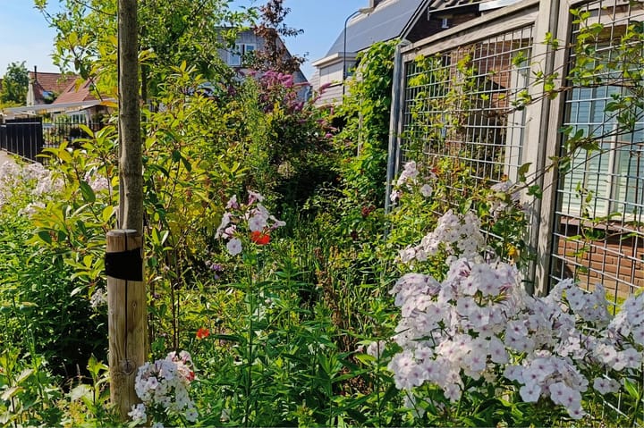 Foto 63 van Cingelwal 55