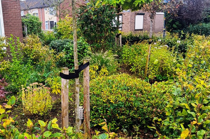 Foto 62 van Cingelwal 55