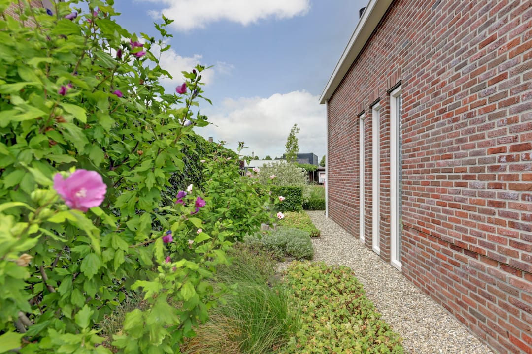 Foto 38 van Duvensteijn 6