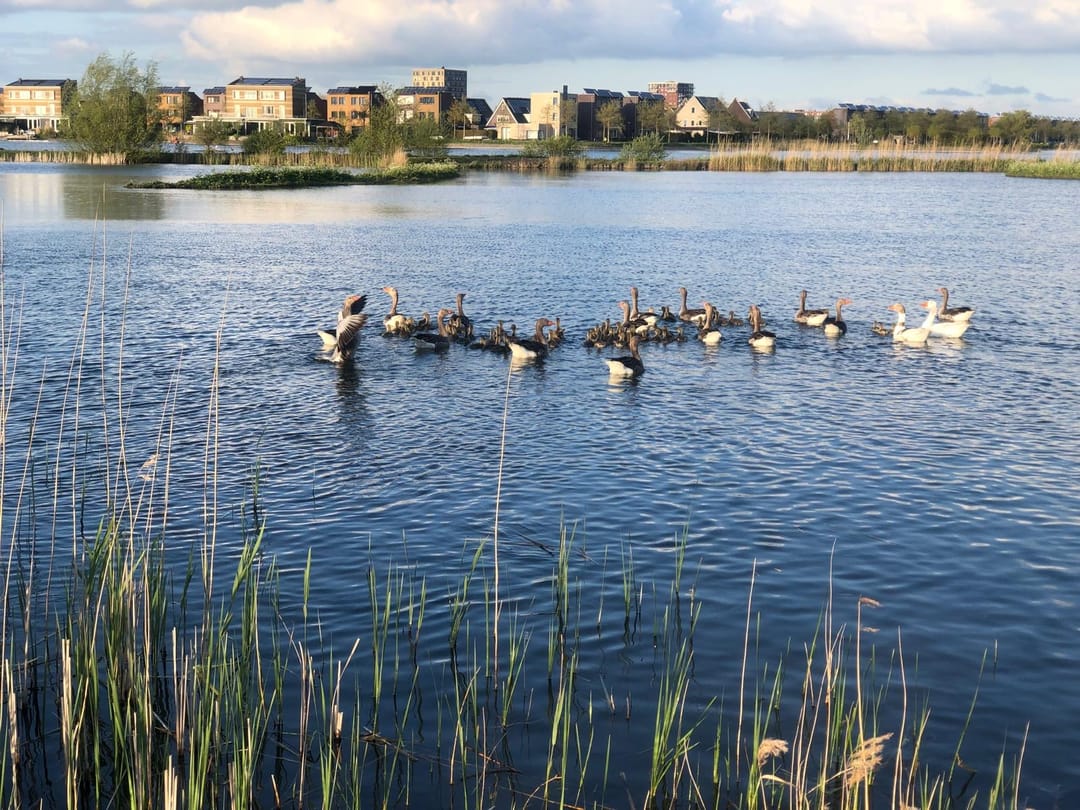 Foto 56 van Hemelboog Binnen 14