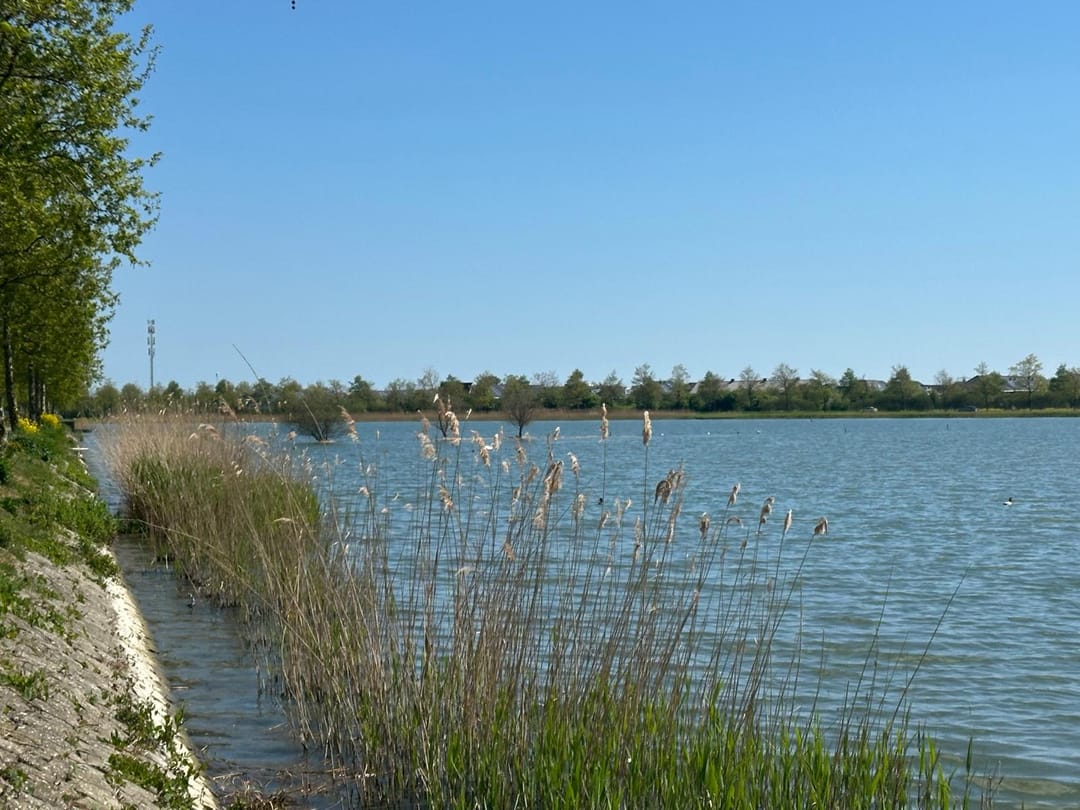 Foto 58 van Hemelboog Binnen 14