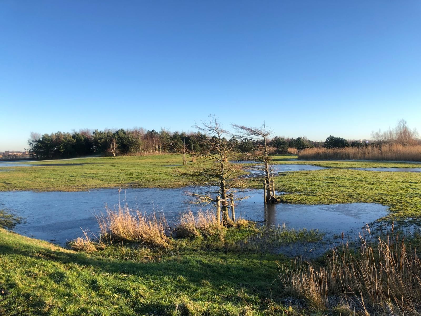 Foto 57 van Hemelboog Binnen 14