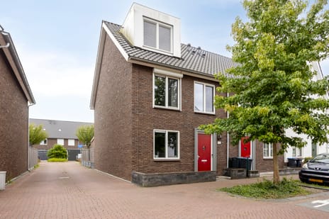 undefined main image