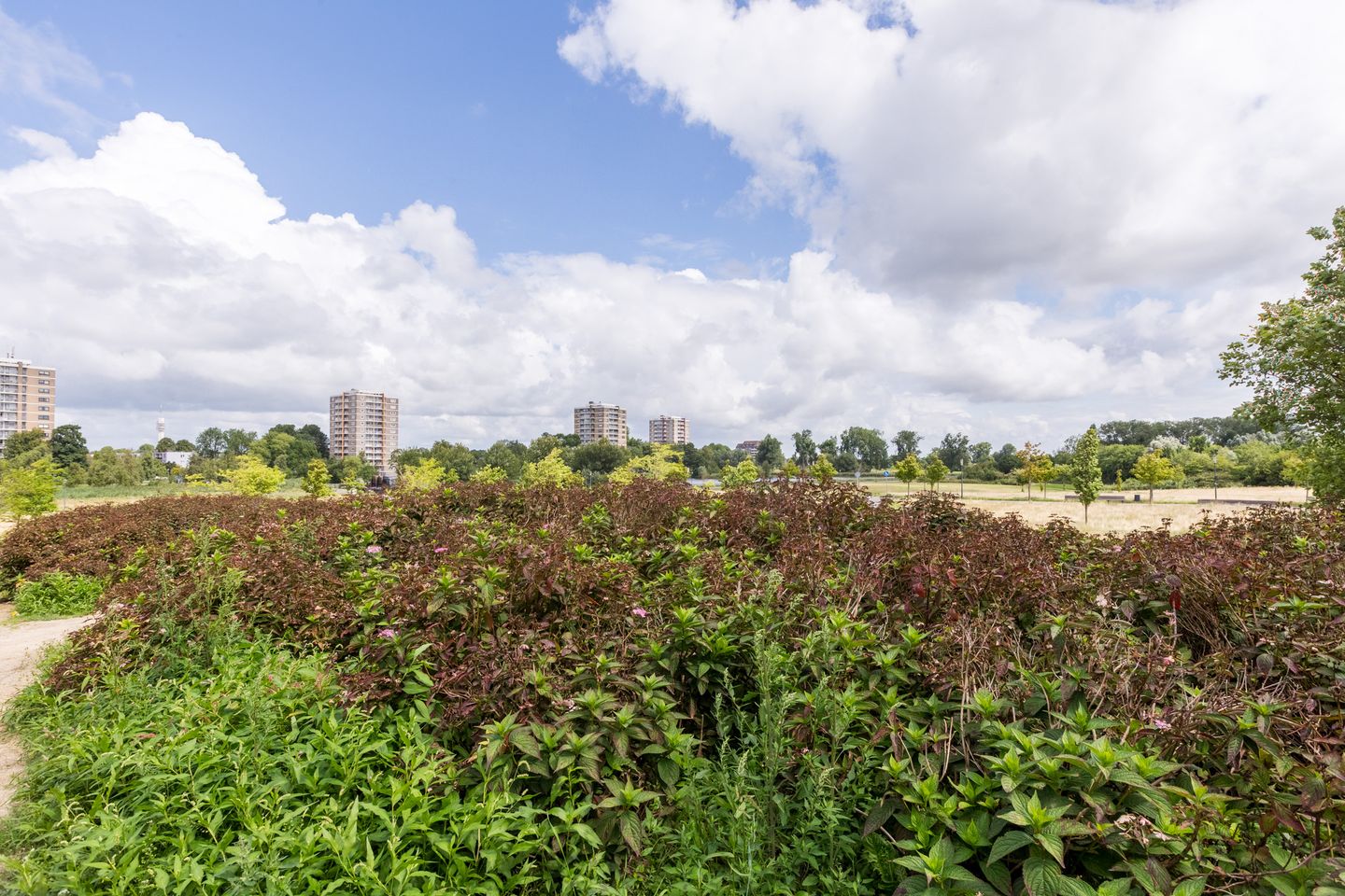 Foto 40 van Monteverdistraat 324