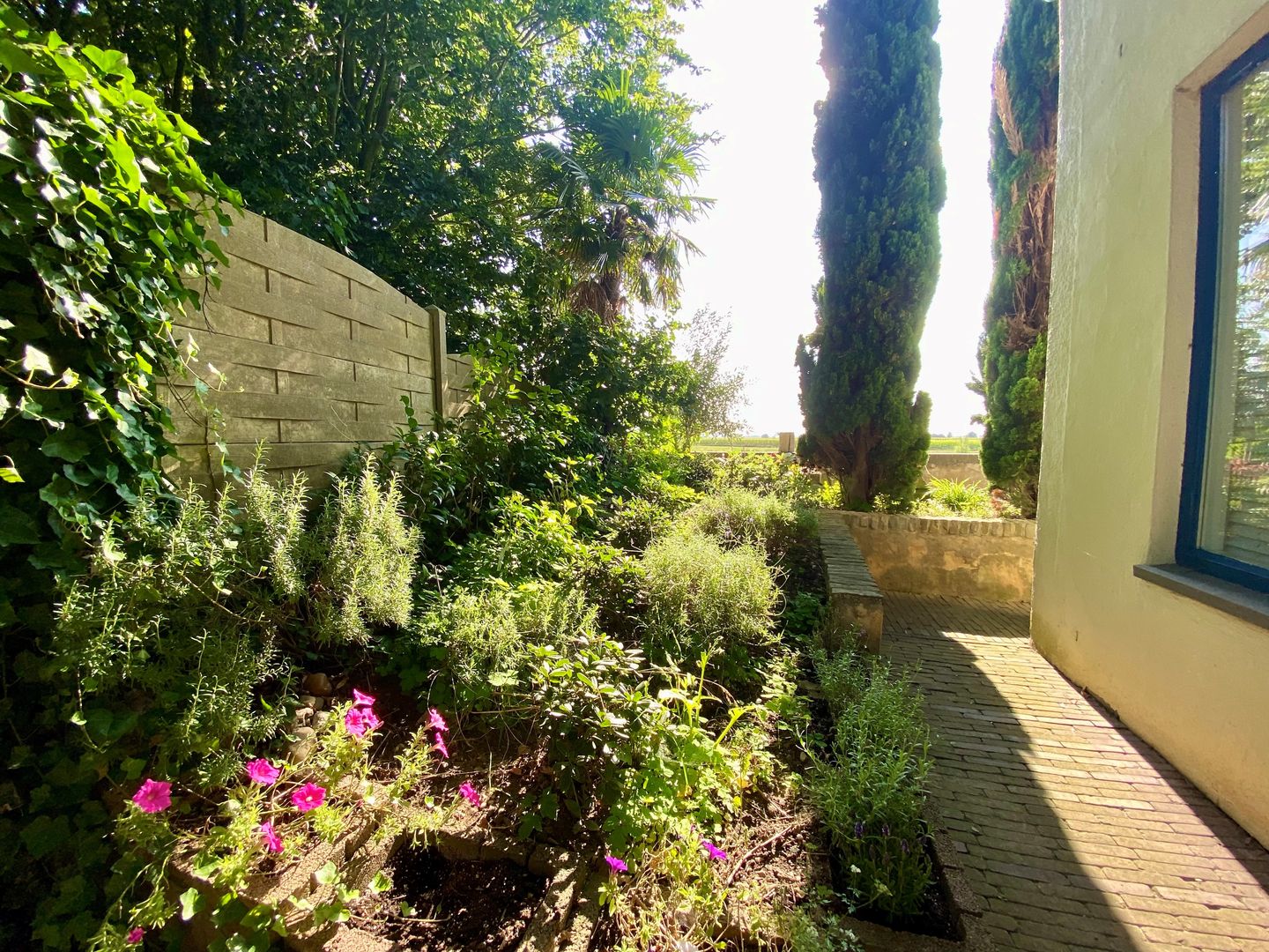 Foto 29 van Visserweert 39-A