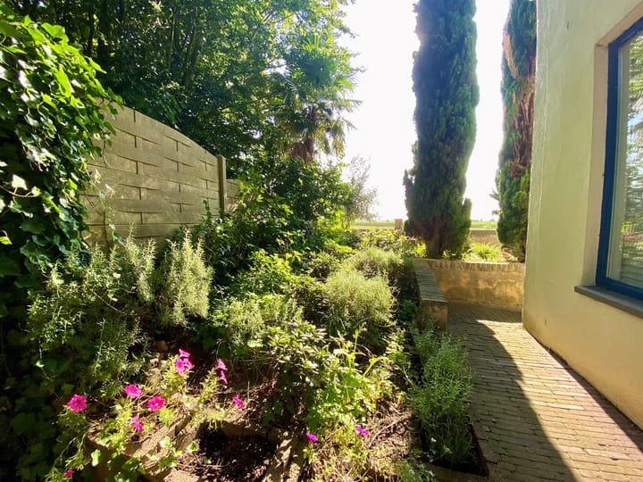 Foto 29 van Visserweert 39-A