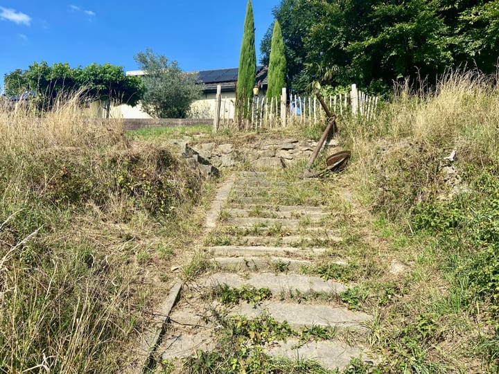 Foto 40 van Visserweert 39-A