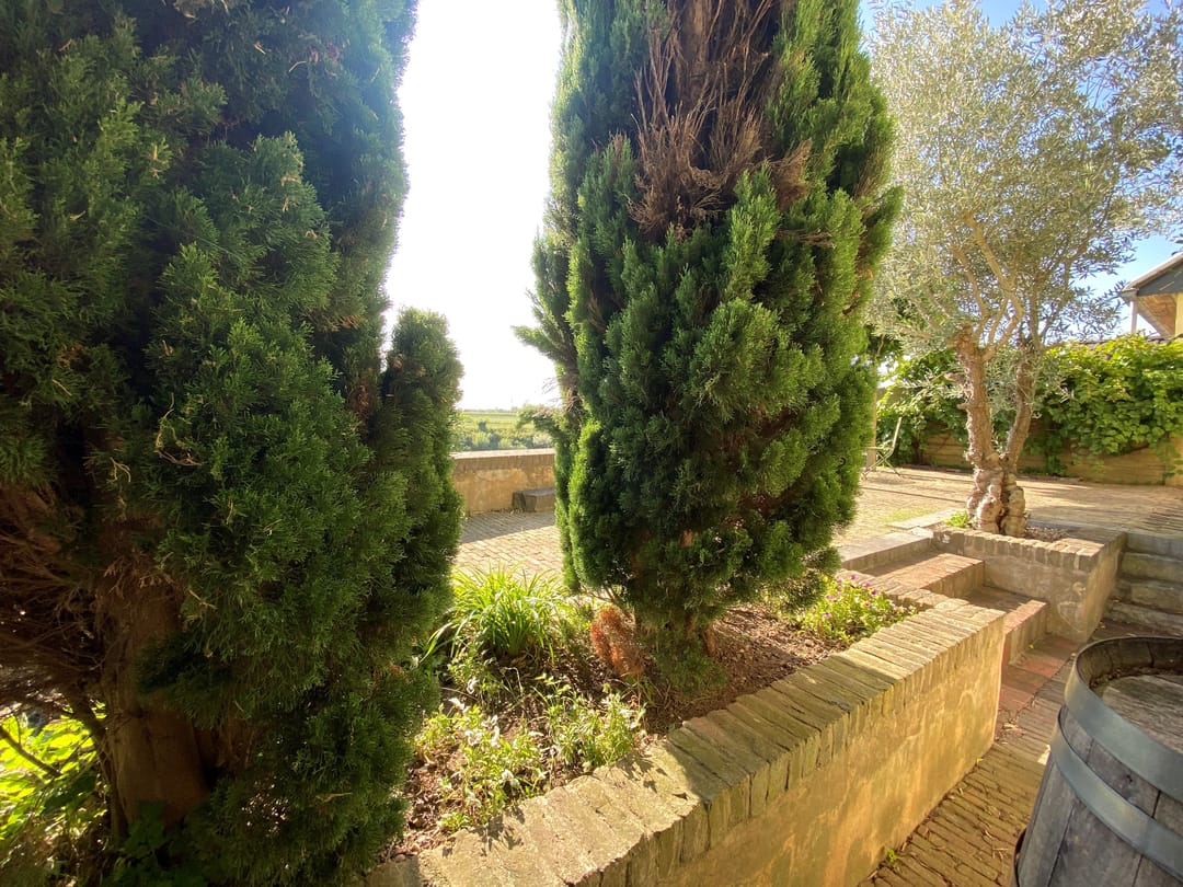 Foto 43 van Visserweert 39-A