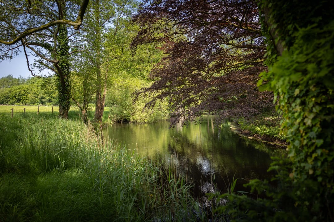 Foto 7 van Sallandsweg 9