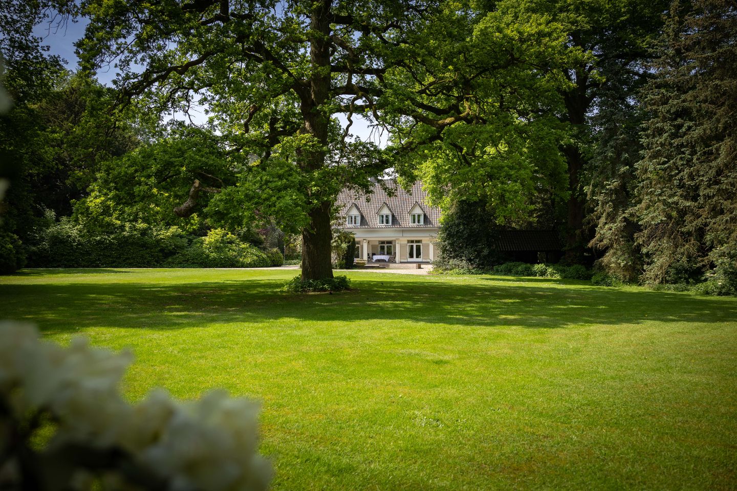 Foto 35 van Sallandsweg 9