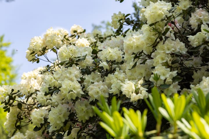 Foto 41 van Sallandsweg 9