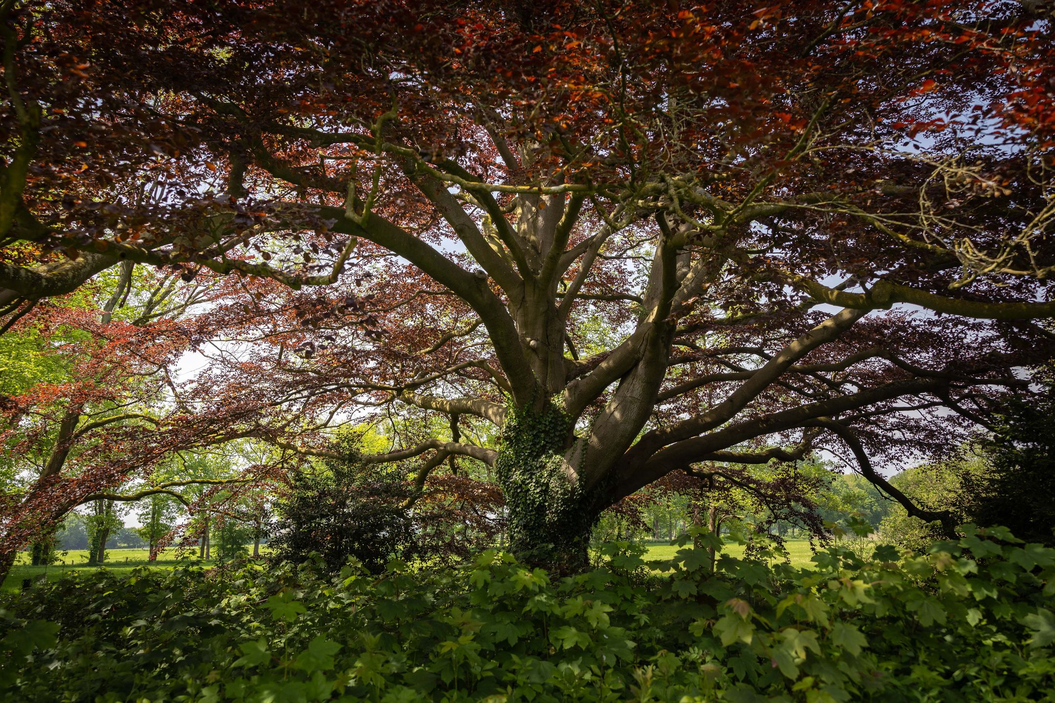 Foto 45 van Sallandsweg 9