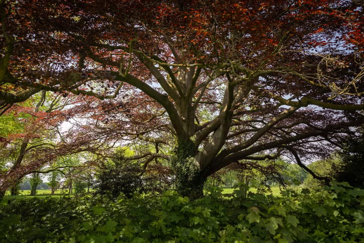 Foto 45 van Sallandsweg 9