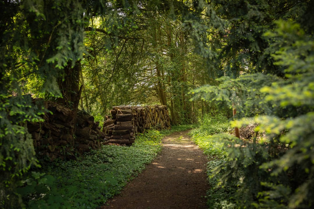 Foto 46 van Sallandsweg 9