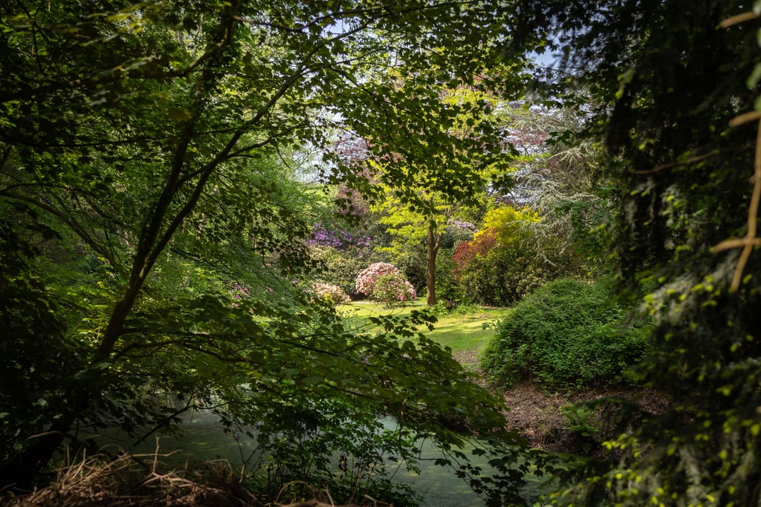 Foto 47 van Sallandsweg 9