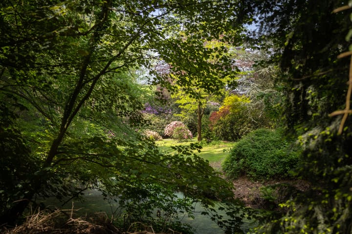 Foto 47 van Sallandsweg 9