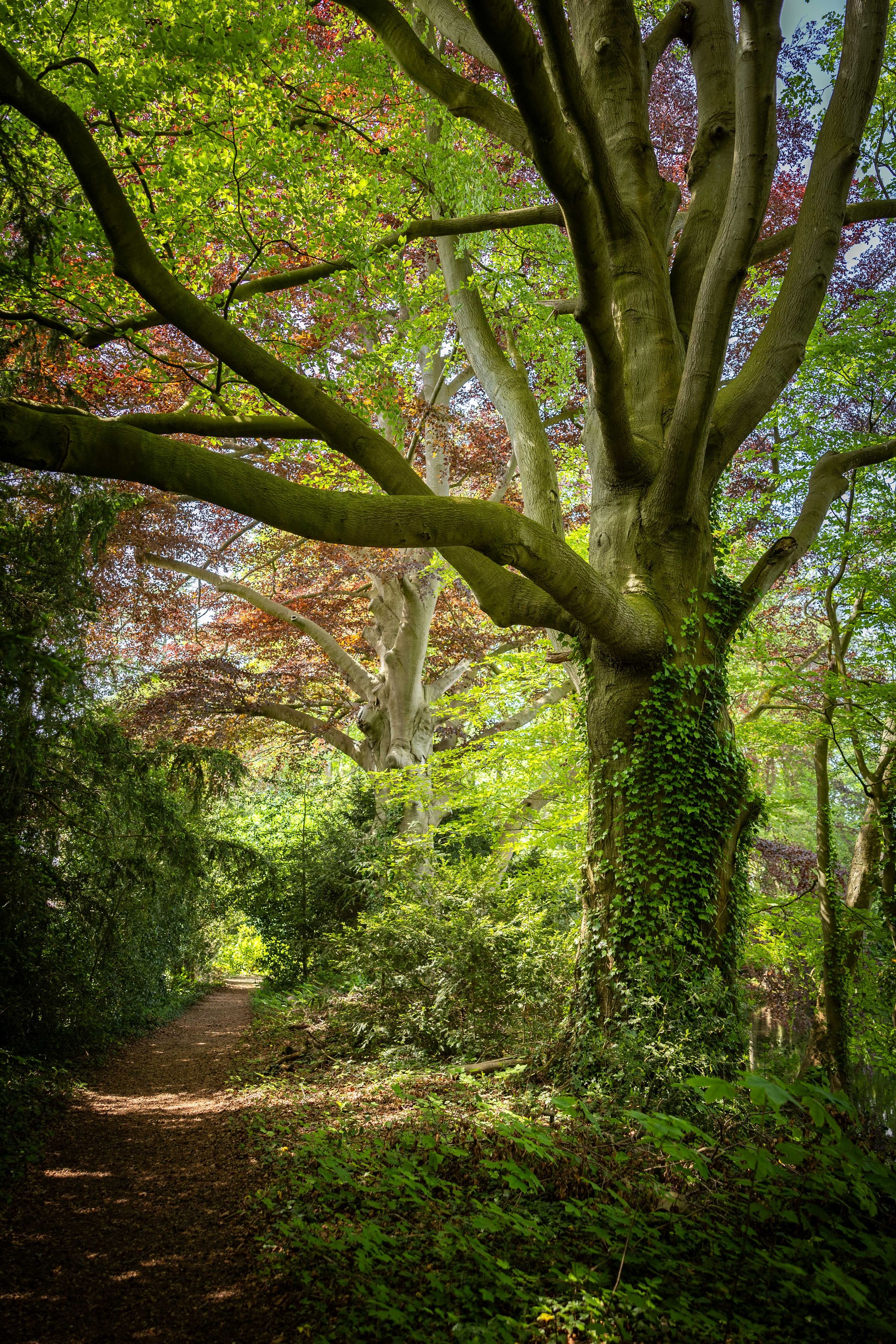 Foto 48 van Sallandsweg 9