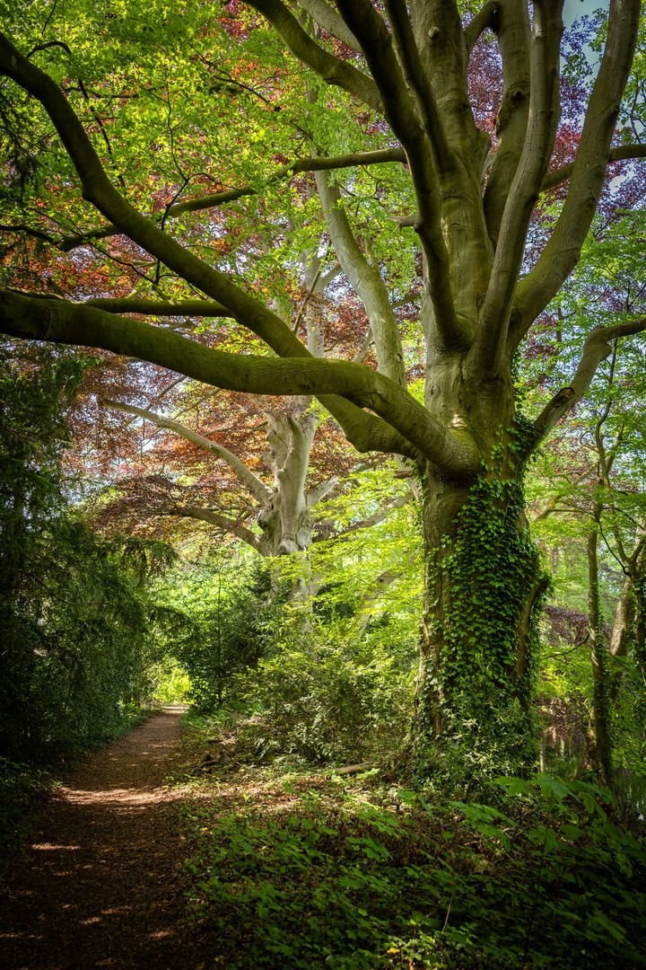 Foto 48 van Sallandsweg 9