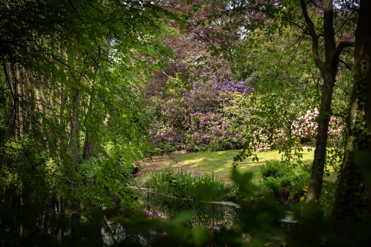 Foto 49 van Sallandsweg 9