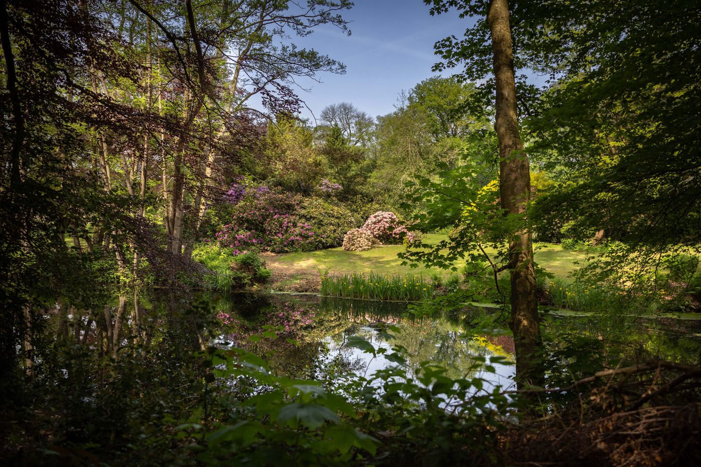 Foto 50 van Sallandsweg 9