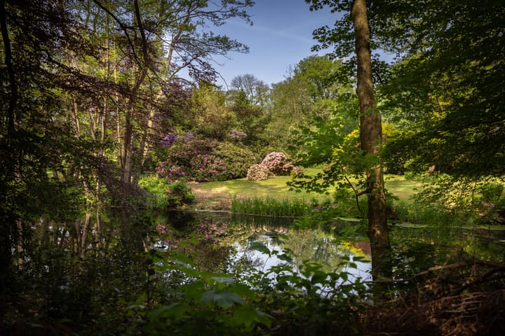 Foto 50 van Sallandsweg 9