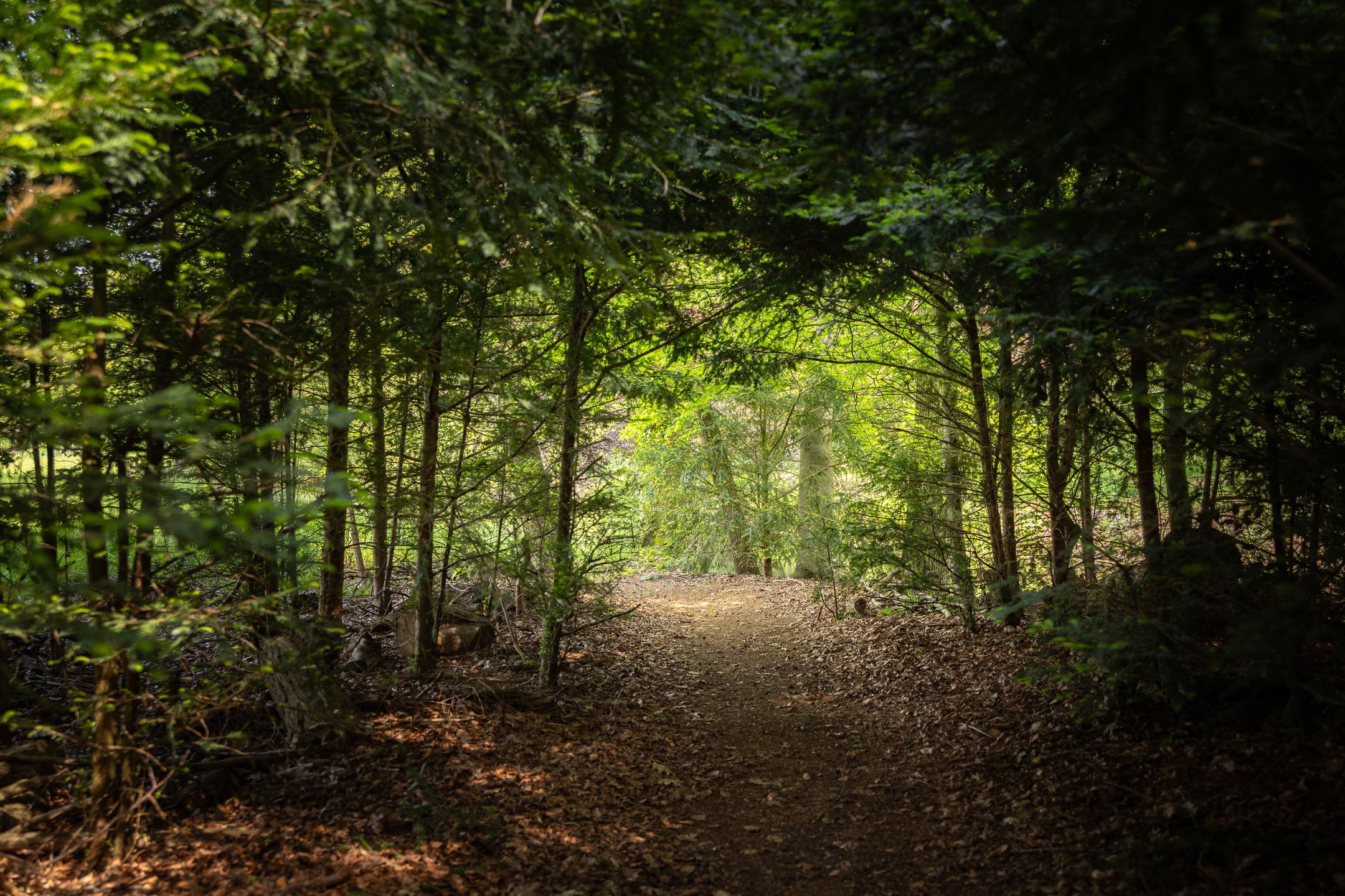 Foto 51 van Sallandsweg 9