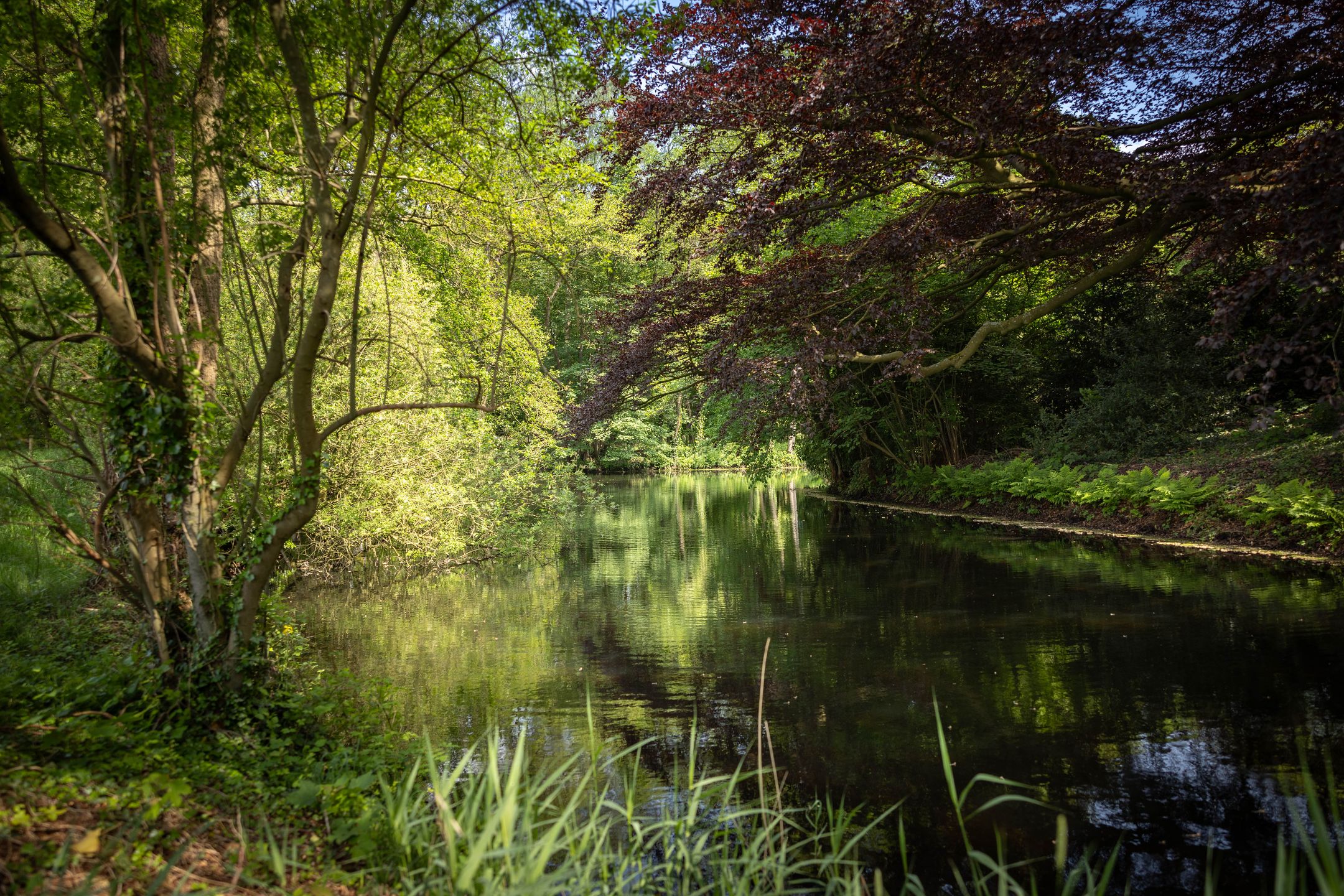 Foto 54 van Sallandsweg 9