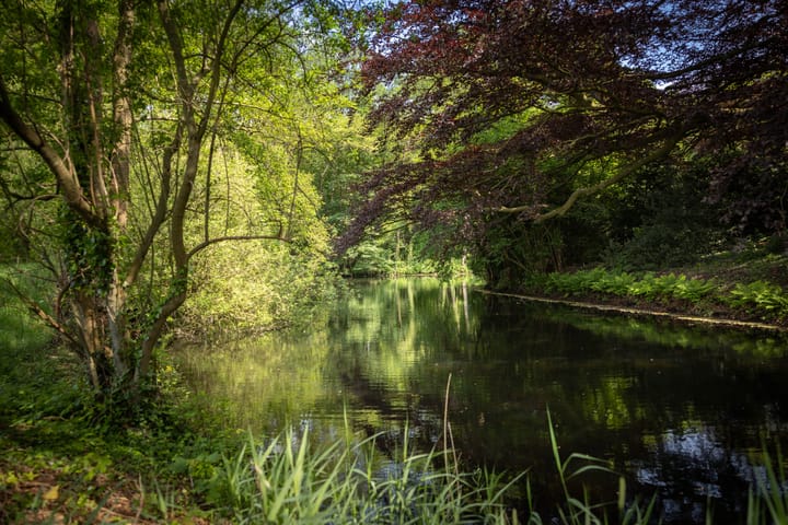 Foto 54 van Sallandsweg 9