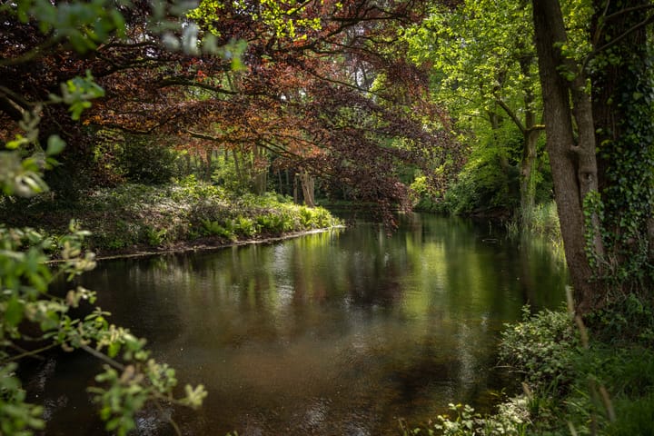 Foto 55 van Sallandsweg 9