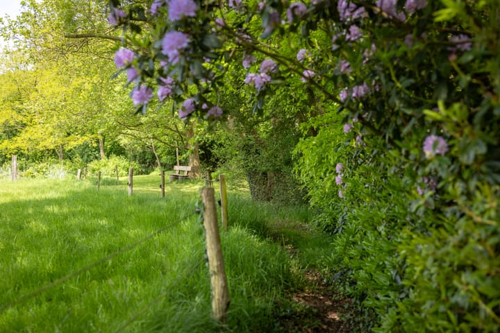 Foto 57 van Sallandsweg 9