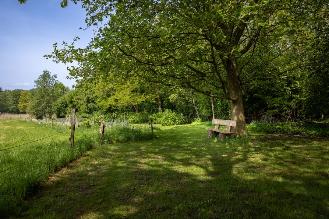 Foto 58 van Sallandsweg 9