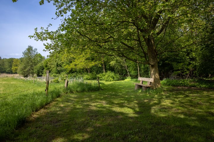 Foto 58 van Sallandsweg 9