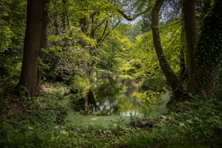 Foto 59 van Sallandsweg 9