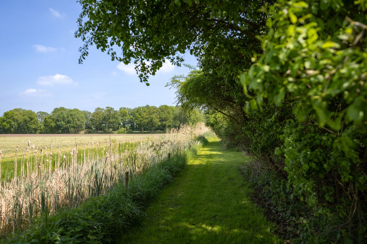 Foto 64 van Sallandsweg 9