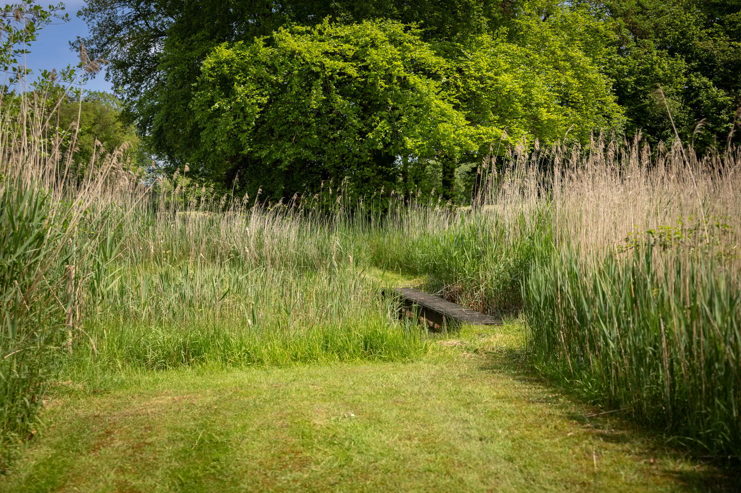 Foto 65 van Sallandsweg 9